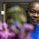 Francis Kere portrait